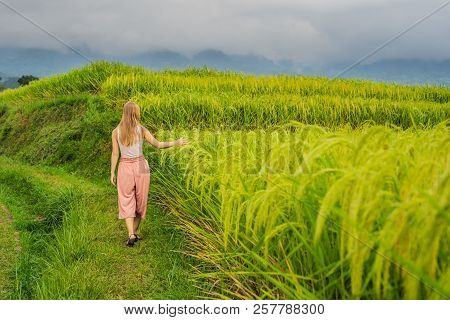 Young Woman Traveler On Beautiful Jatiluwih Rice Terraces Against The Background Of Famous Volcanoes