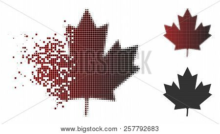 Maple Leaf Icon In Sparkle, Dotted Halftone And Undamaged Entire Versions. Points Are Organized Into