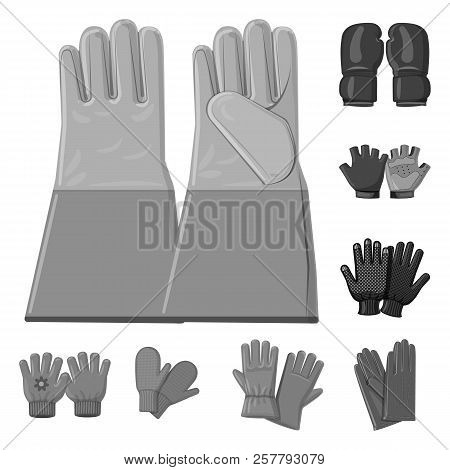 Vector Illustration Of Glove And Winter Sign. Set Of Glove And Equipment Stock Symbol For Web.
