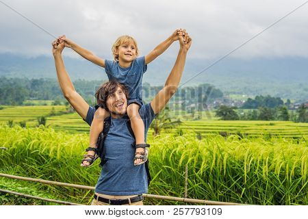Dad And Son Travelers On Beautiful Jatiluwih Rice Terraces Against The Background Of Famous Volcanoe
