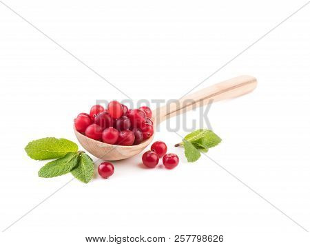 Cranberries And Mint. Ripe Red Cranberries, Isolated On White