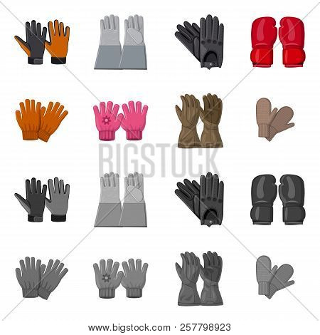 Vector Design Of Glove And Winter Sign. Set Of Glove And Equipment Stock Symbol For Web.
