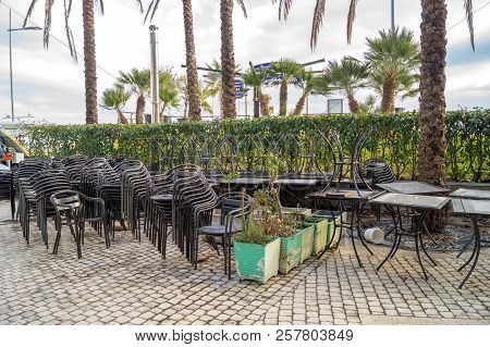Palms On Italian Beach In Winter