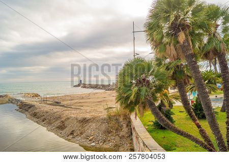 Palms On Italian Beach In Winter