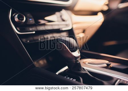 New Car In Showroom. Luxury Leather Interior. Car Dealership