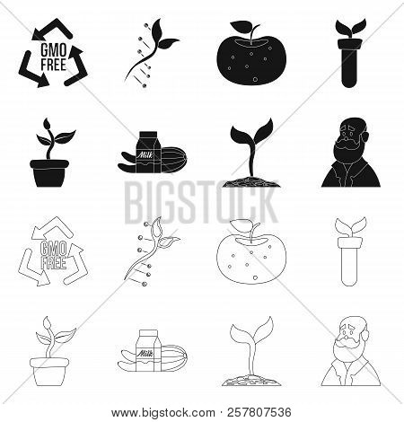 Isolated Object Of  And  Symbol. Set Of  And  Stock Vector Illustration.