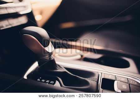 New Car In Showroom. Luxury Leather Interior. Car Dealership