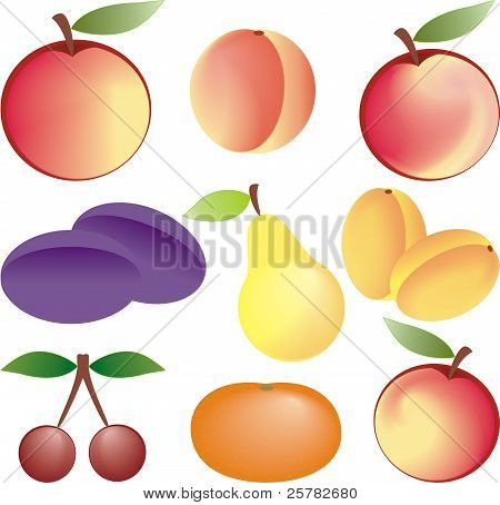 Frutti Vector Set