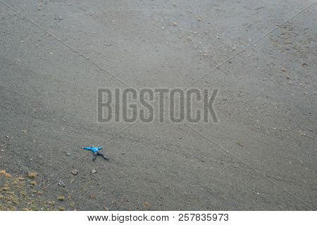 Guy lies in the shape of a star on a mountain slope. Caucasus Mountains, Samegrelo-zemo svaneti, Georgia