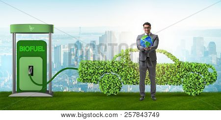 Concept of bio fuel and ecology preservation