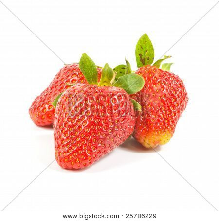 Three Fresh Red Strawberries