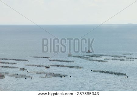 Trout Fish Farm - Lake Titicaca - Peru