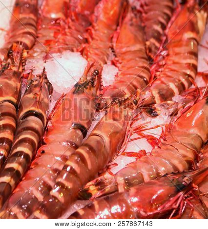 Many Red Crustacean For Sale At Fishmongers