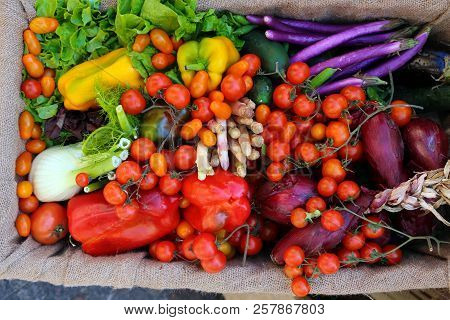 Organic Fresh Fruits And Vegetables Just Harversted For Sale At Local Market