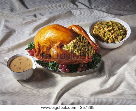 Turkey  Stuffing