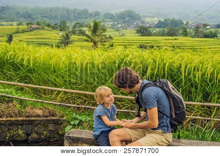 Dad And Son Travelers On Beautiful Jatiluwih Rice Terraces Against The Background Of Famous Volcanoe