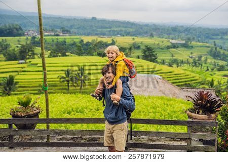 Dad And Son Travelers On Beautiful Jatiluwih Rice Terraces Against The Background Of Famous Volcanoe