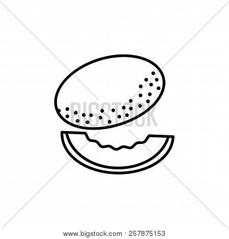 Black & White Vector Illustration Of Whole Melon & Its Slice. Line Icon Of Fresh Organic Cantaloupe.