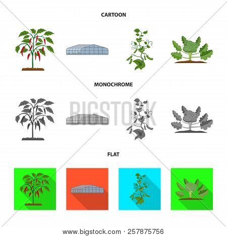 Vector Illustration Of Greenhous And Plant Sign. Set Of Greenhous And Garden Stock Vector Illustrati