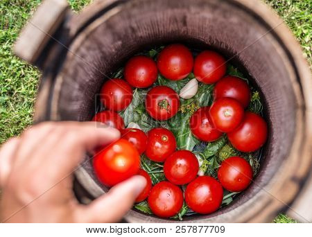 Pickled tomatoes with herbs in the wooden cask.