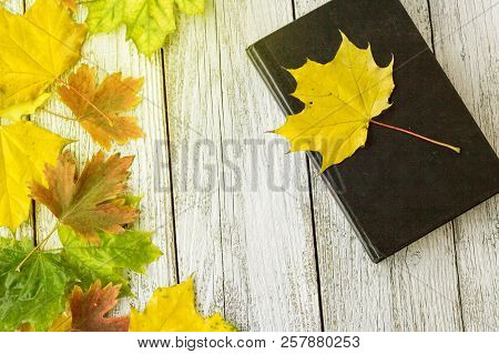 Book And Colorful Maple Leaves On White Wooden Background