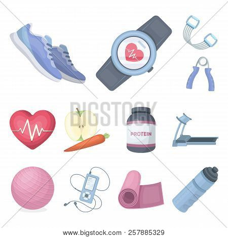 Gym And Training Cartoon Icons In Set Collection For Design. Gym And Equipment Vector Symbol Stock W