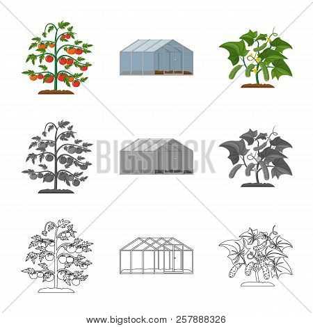 Vector Illustration Of Greenhous And Plant Sign. Set Of Greenhous And Garden Stock Vector Illustrati
