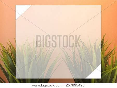 Background Two Green Branch On Orange Wall,postcard,name Card,background