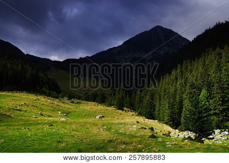 Stormy landscape in Retezat Mountains, Romania, Europe