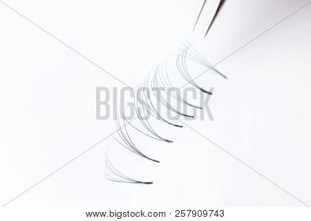 Set Artificial Lashes White Isolated Background, Eyelash Extension.
