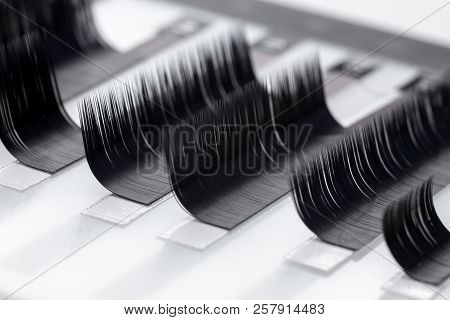 Set Artificial Lashes White Isolated Background, Eyelash Extension.