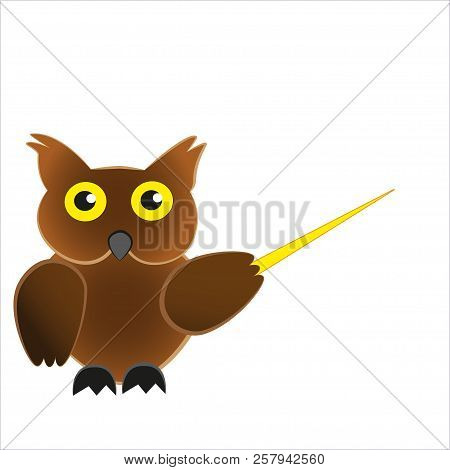 Wise And Smart Bird Owl Holding A Pointer.