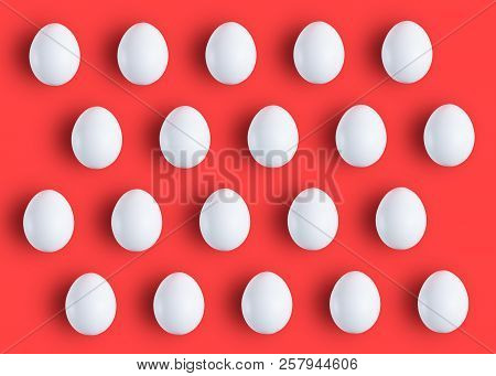 Egg. White Chicken Egg On Red Background.
