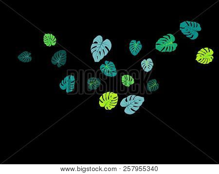 Teal Green Tropical Jungle Leaves Vector Scatter. Philodendron Or Monstera Plant Summer Background. 