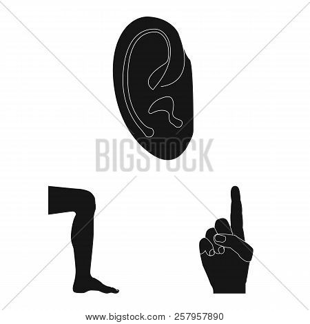 Vector Illustration Of Human And Part Icon. Set Of Human And Woman Stock Vector Illustration.