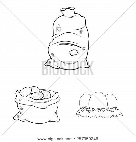 Vector Illustration Of Farm And Agriculture Icon. Set Of Farm And Plant Vector Icon For Stock.