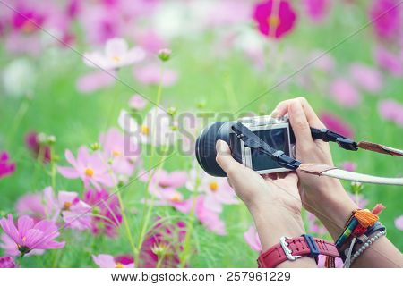 Travel Of Photographer Woman,take Photo With Mirrorless Camera.people Side View,young Traveler Girl 