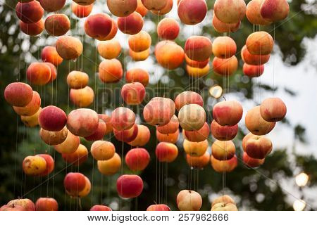 Apple decoartion outdoors