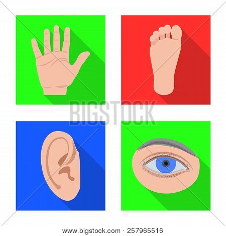Isolated Object Of Human And Part Icon. Set Of Human And Woman Stock Vector Illustration.