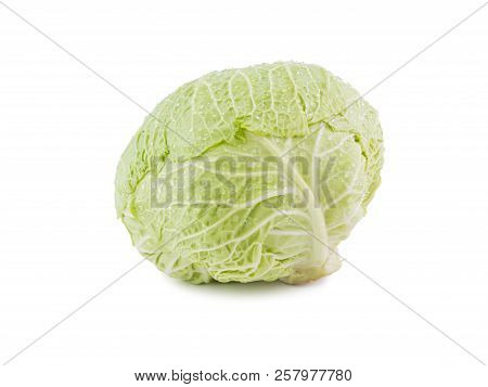 White Cabbage Isolated On White Background One Whole Head