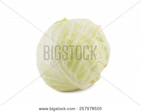 White Cabbage Isolated On White Background One Whole Head