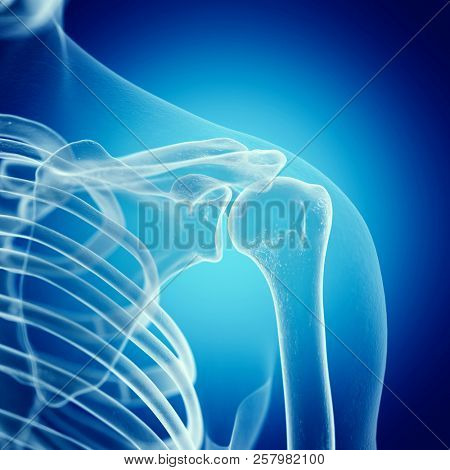 3d rendered medically accurate illustration of the shoulder joint