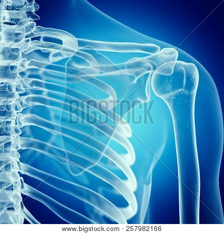 3d rendered medically accurate illustration of the shoulder joint