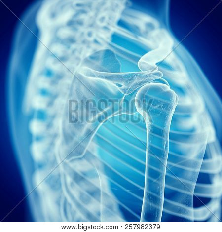 3d rendered medically accurate illustration of the shoulder joint