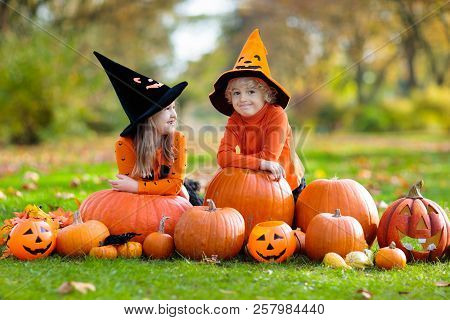 Kids With Pumpkins In Halloween Costumes