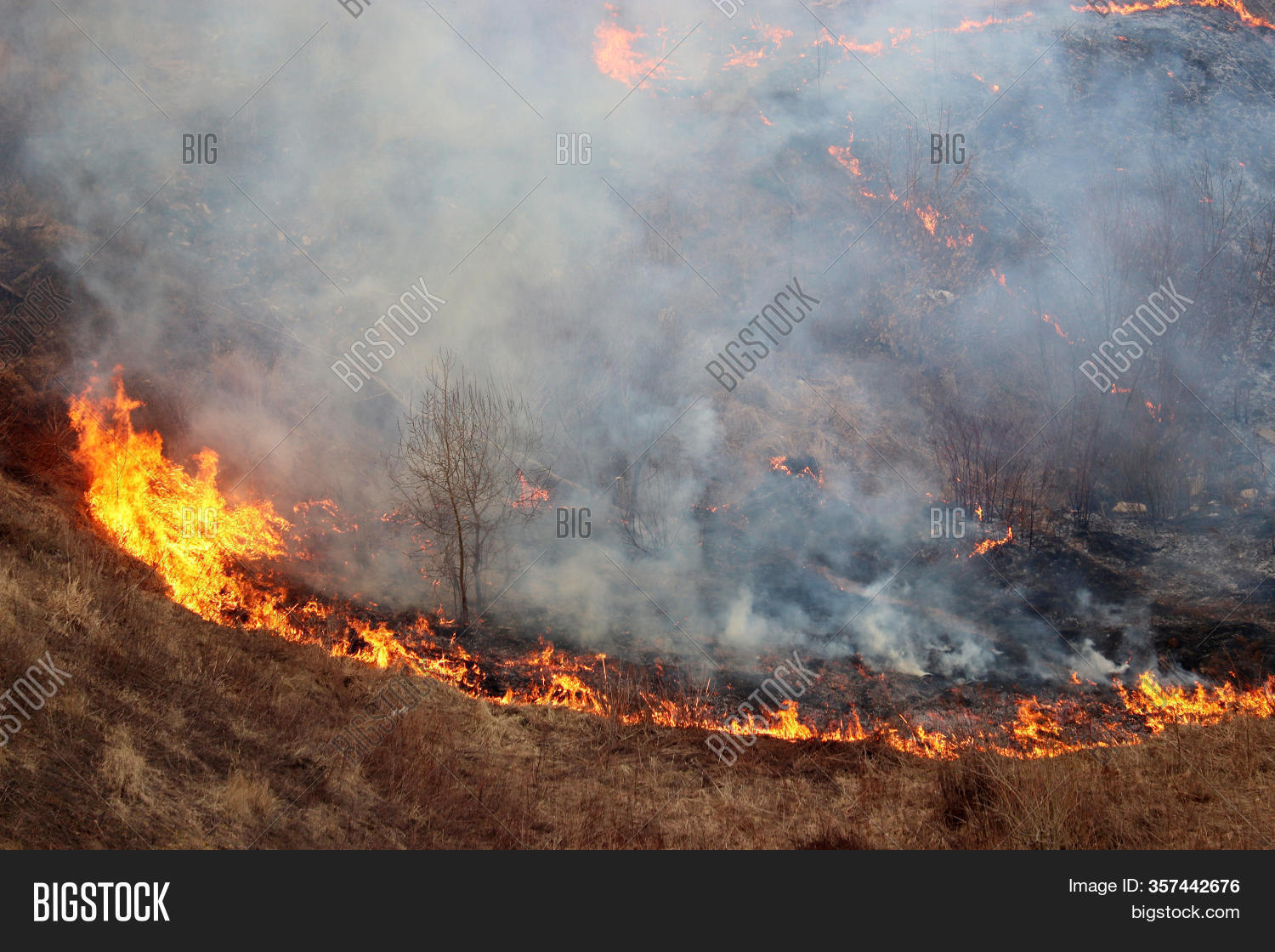поджог травы это преступление. пал травы. поджог что грозит. запрет на поджог травы. пожар в деревне.