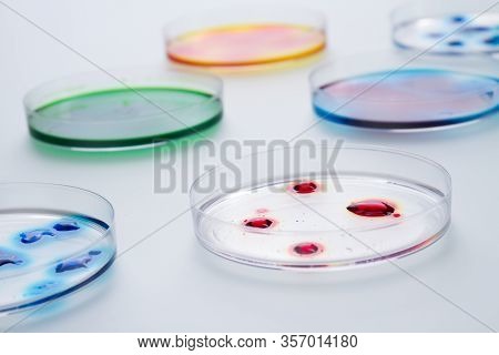Lab Petri Dishes With Various Colorful Liquids. Isolated On White Background.
