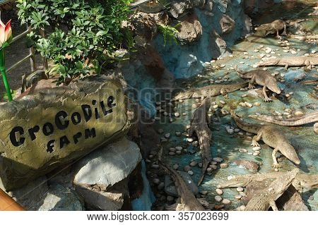 Bulacan, Ph - Oct. 16: Cherubin Gardens Crocodile Farm On October 16, 2015 In Meycauayan, Bulacan, P