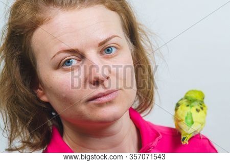 Funny Budgie. A Cute Yellow Budgie Parrot Is Sitting On The Girl S Shoulder. Tamed Pet