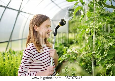 Adorable Young Girl Watering Variuos Vegetables In A Greenhouse On Sunny Summer Day. Gardening Activ